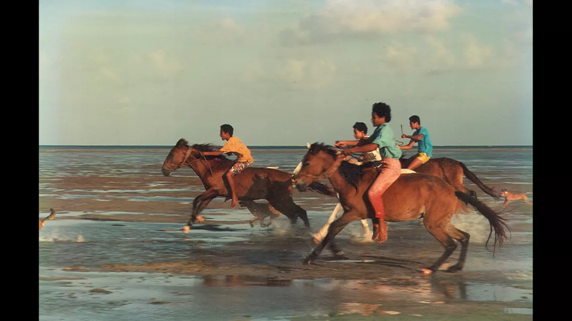 VOS PHOTOS, NOTRE HISTOIRE / Celui qui a la nostalgie des chevaux