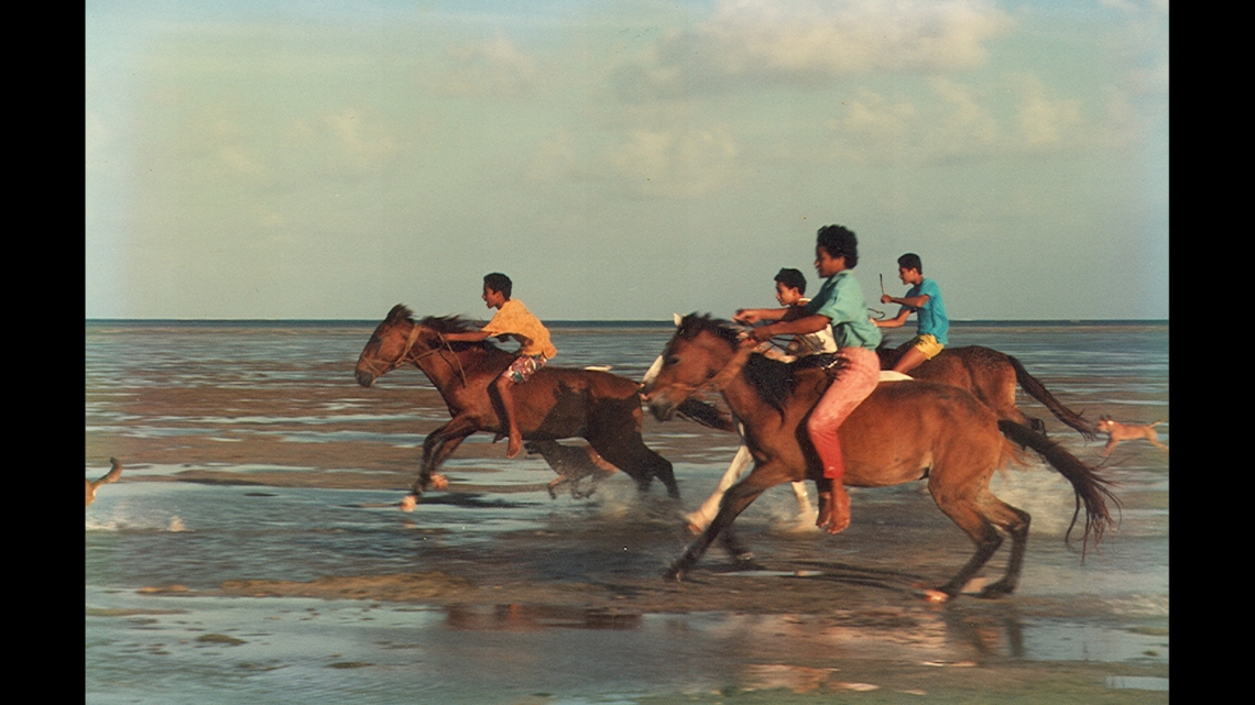 VOS PHOTOS, NOTRE HISTOIRE / Celui qui a la nostalgie des chevaux