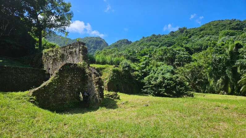  Ruines de l'habitation Fond moulin à Grand Rivière 