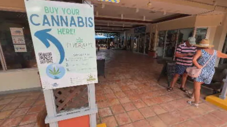 Caraïbes, le mensuel : Focus sur le business du cannabis