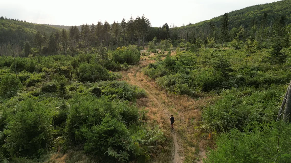 Des chemins en commun