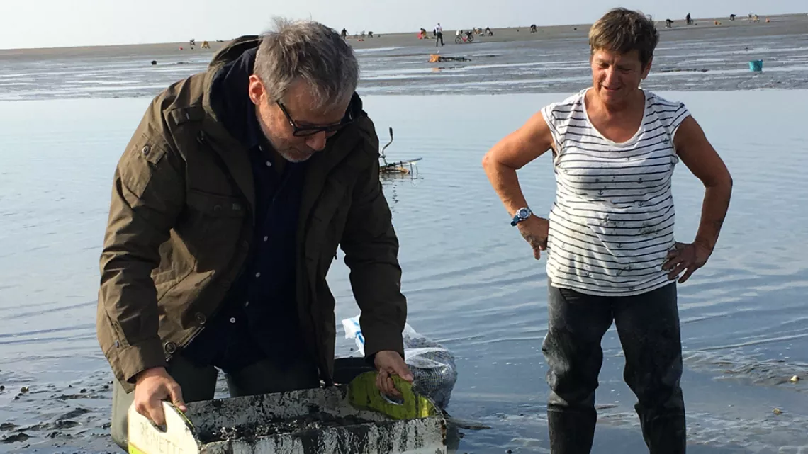 Reinette à la baie de Somme par © Hervé Arduin