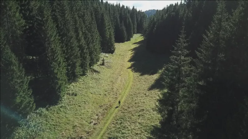 Les plus beaux treks - Le Jura