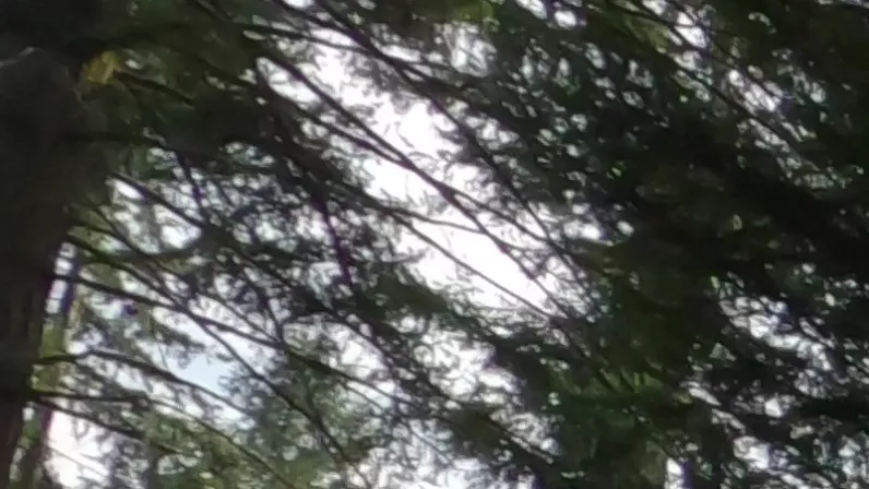 Des chemins en commun