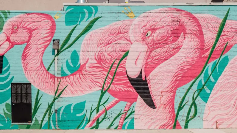 Outre-mer Street Art ©909 Productions