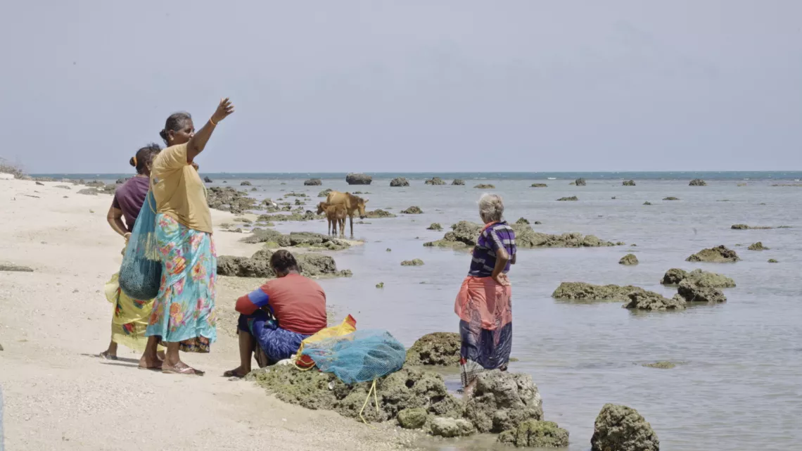 Archipels : Sea angels De Roberto Lugones @Reunionla1ere Plongez-vous dans l’univers des ramasseuses d’algues du Sud de L’Inde