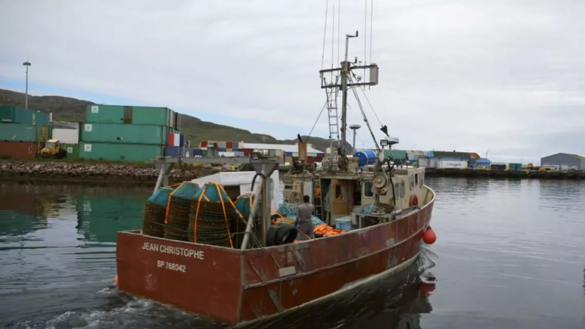 LES NOUVEAUX PÊCHEURS