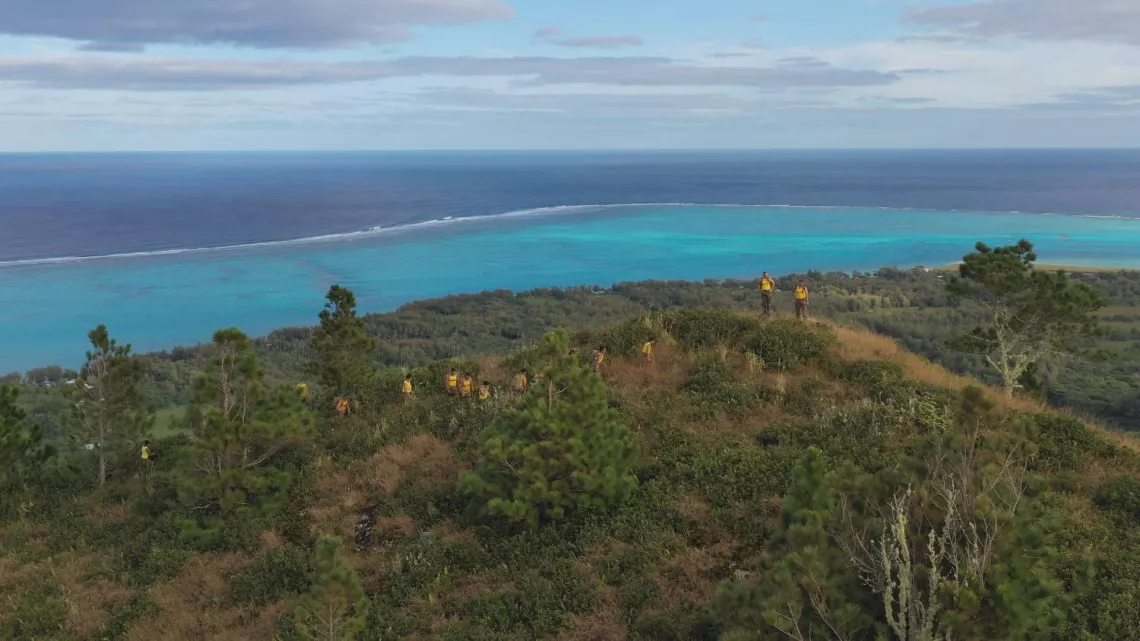 Trouver sa place, l'aventure du SMA