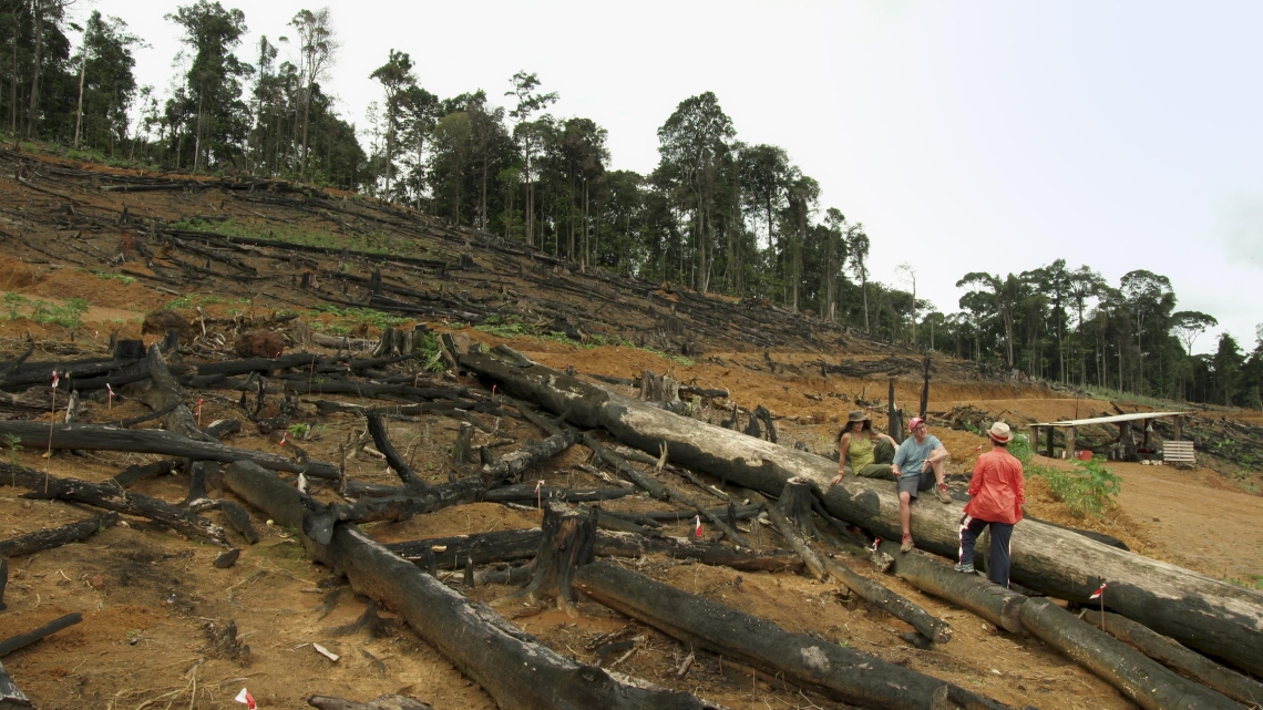 Déforestation (Guyane française) M2R Films