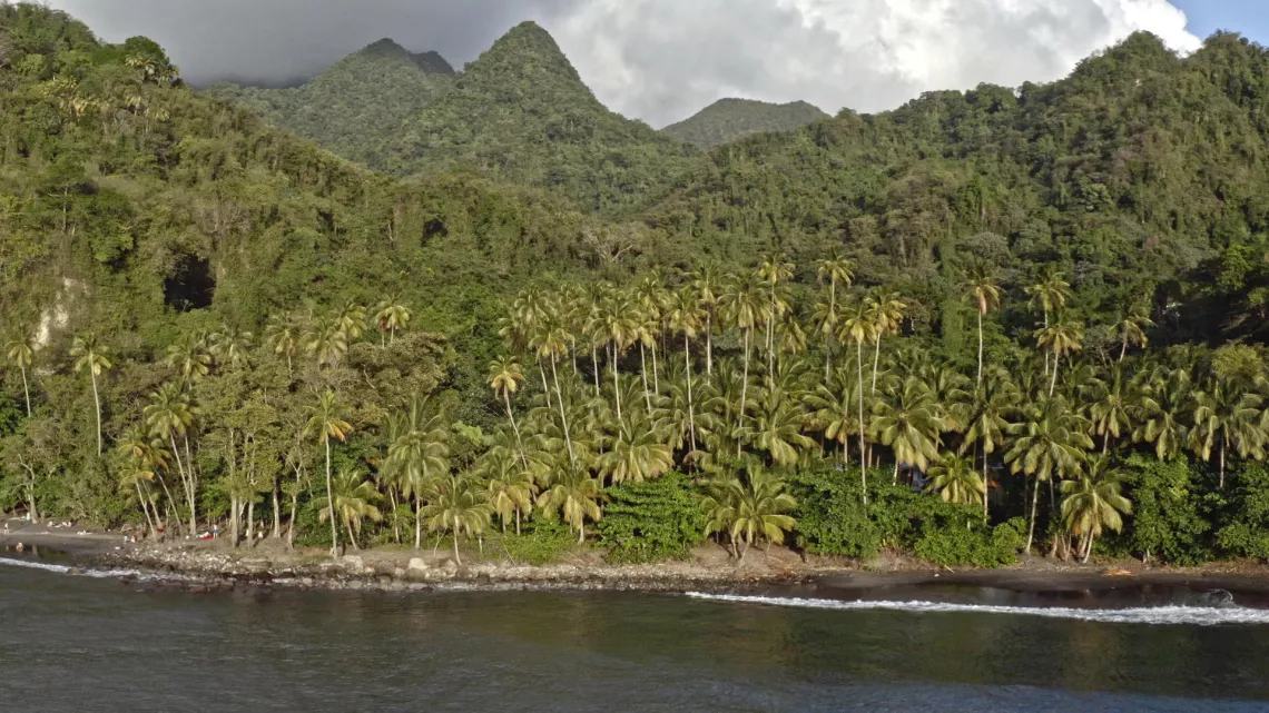 FPR Antilles - © FTV