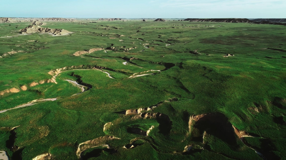 Il était une fois dans la prairie © Kwanza