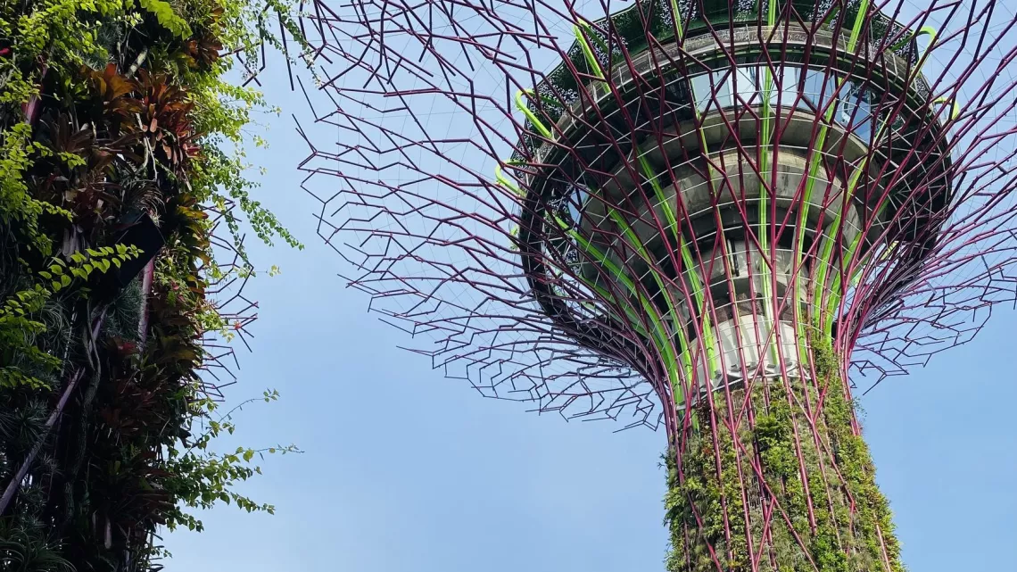 EB Singapour © Bo Travail !