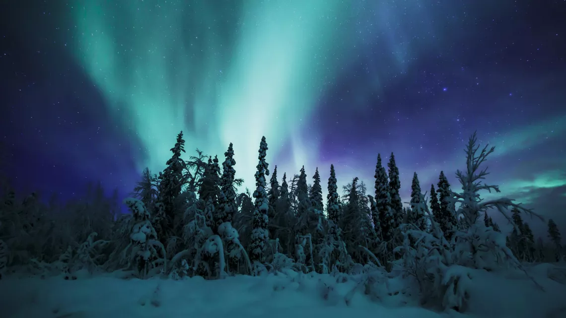 ROYAUMES DE GLACE « ARCTIQUE © 2022 BBC Studios