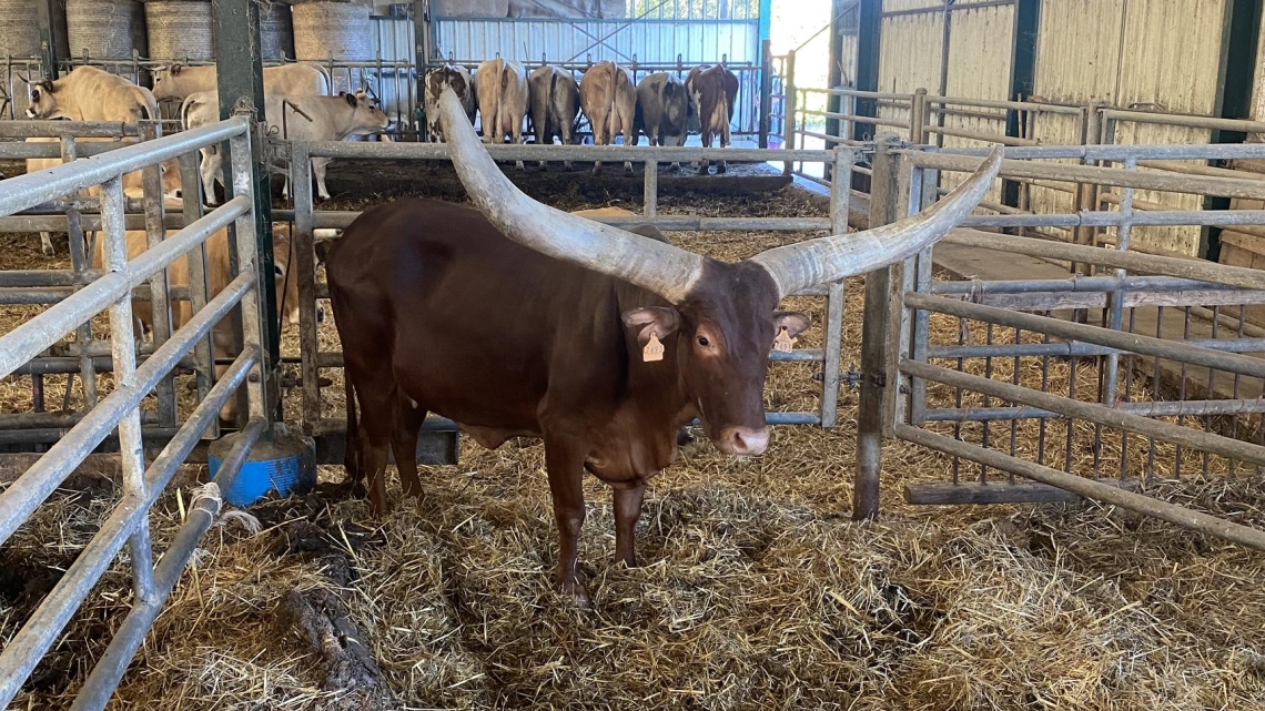 EB L'Occitanie, de ferme en ferme 