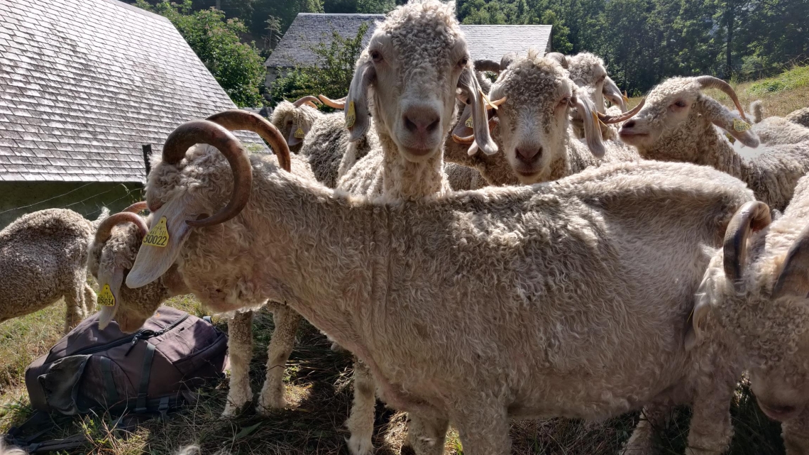 EB L'Occitanie, de ferme en ferme 