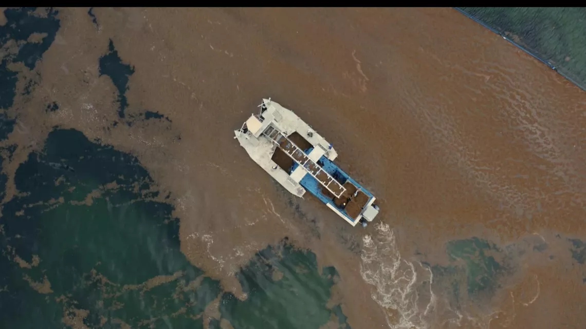 Caraïbes, la route des sargasses