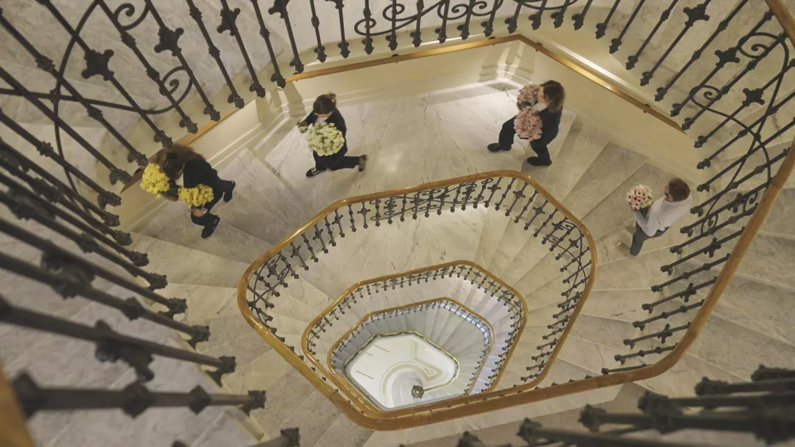 Carlton, la renaissance d'une icône