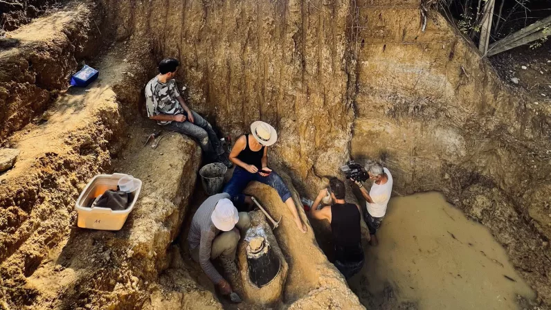 Dans les pas du mammouth géant