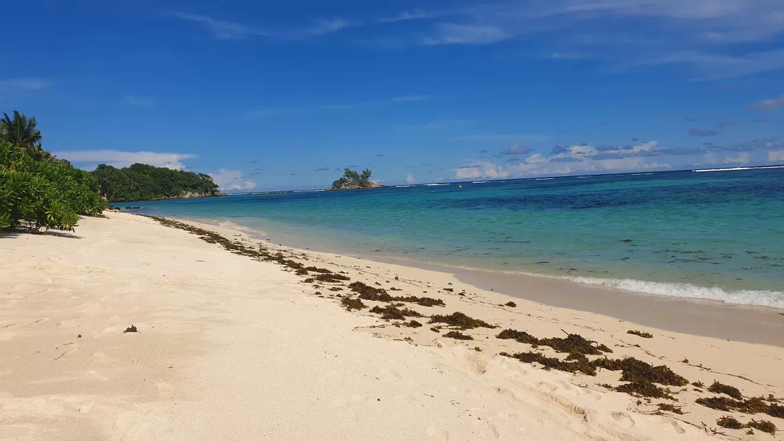 Les Seychelles, précieuse nature