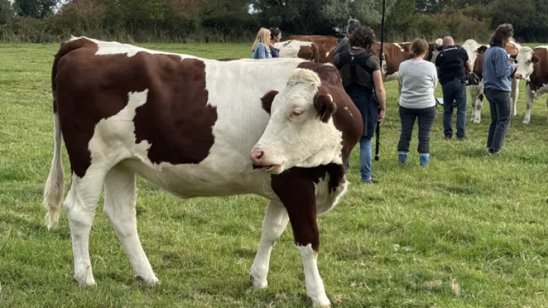 PAE safari dans l'estuaire