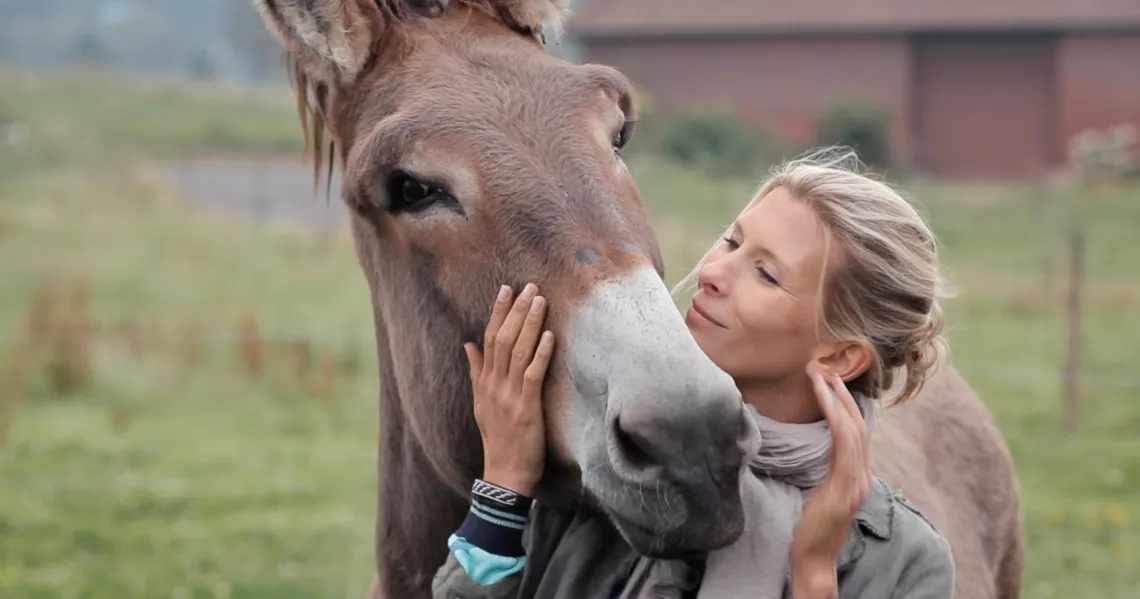 R&G Productions HELENE ET LES ANIMAUX