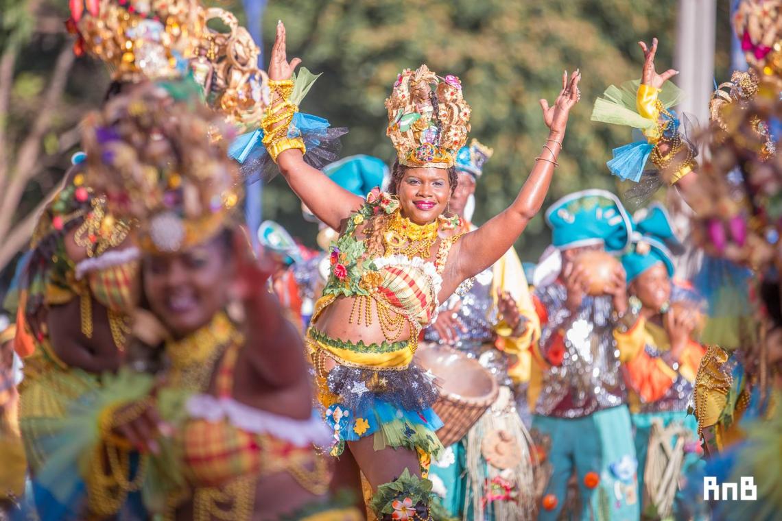 Carnaval Martinique 2017 : Parade du Dimanche Gras ©Raphaël Bastide/Martinique 1ère