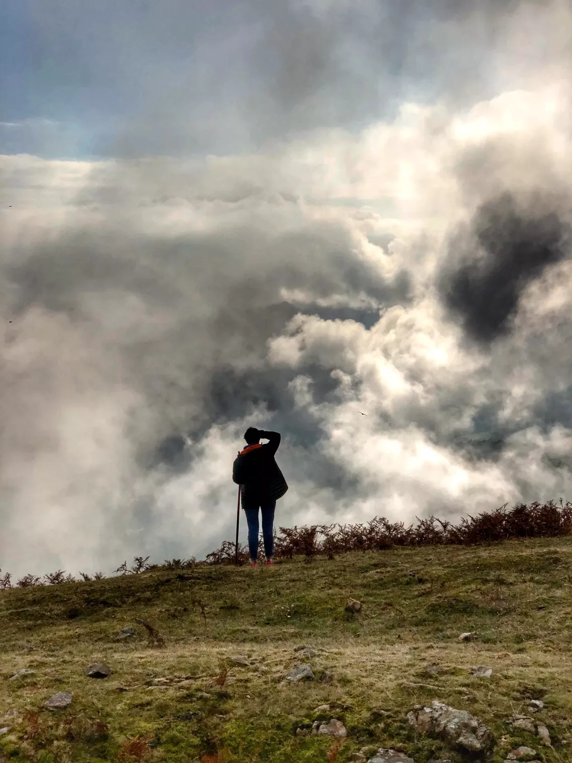 Arrière Pays-Basque Arrière Pays-Basque