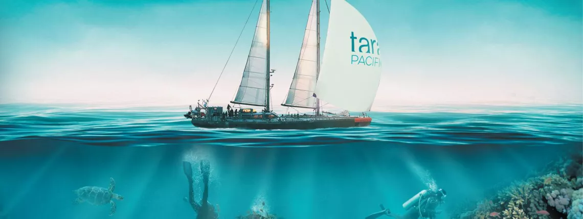 TARA EXPEDITIONS
