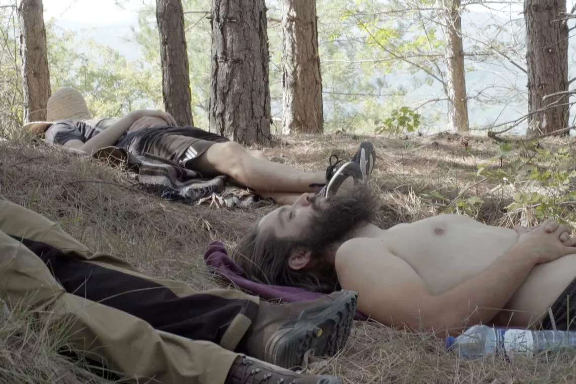 Aux arbres citoyens - Ceux qui survivront