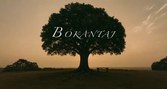 GPE - Bannière Bokantaj