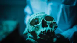 © ZDF Enterprises APOCALYPSE NEANDERTHAL