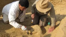 L'Egypte, une passion francaise L'Egypte, une passion francaise
