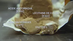 © Eléphant Doc NOTRE PAIN EST-IL DANS LE PETRIN ?