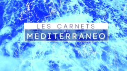 Le magazine de la Méditerranée Les Carnets de Mediterraneo, un mardi par mois à 20h35 sur ViaStella