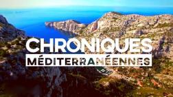Logo Chroniques Med 2017