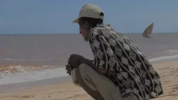 Zanaka tany