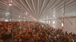 © Premières Lignes FAUT-IL ARRÊTER DE MANGER LES ANIMAUX ?