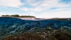 BBC PLANÈTE BLEUE 2