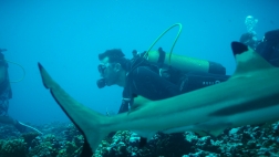 Une saison à Tahiti Une saison à Tahiti