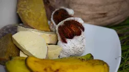 DSDNA RECETTE 11 DSDNA RECETTE 11
