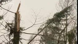 Francetélévisions La tempête du siècle