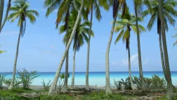 @What's Up Productions Tahiti, l'invention du paradis