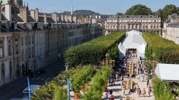 Le livre sur la place de Nancy
