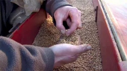 Du blé au pain Du blé au pain