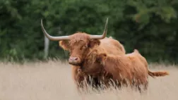 Des animaux bien élevés Des animaux bien élevés