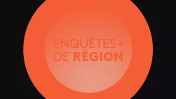 Enquêtes de région