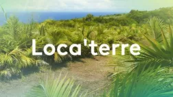 LOCA' TERRE @Reunionla1ere Magazine dédié au développement durable à la Réunion Magazine dédié au développement durable
