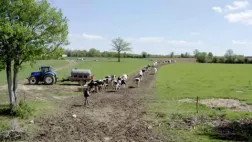 Le sens de la terre Le sens de la terre