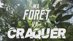 Ma forêt va craquer © Christophe Cocherie Ma forêt va craquer
