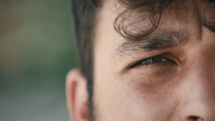 Nous, schizophrènes et combattants